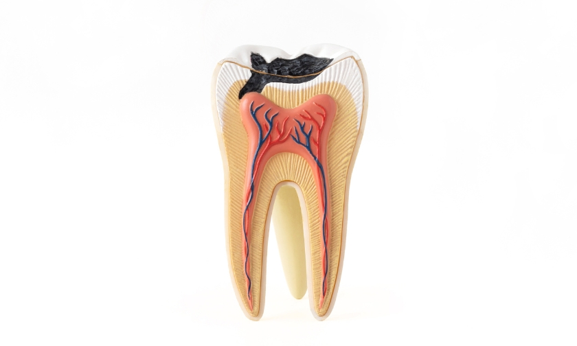 Do I Have a Tooth Infection? Symptoms and Treatment Options